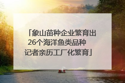 象山苗种企业繁育出26个海洋鱼类品种 记者亲历工厂化繁育