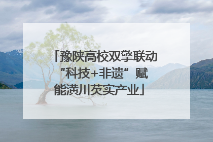 豫陕高校双擎联动 “科技+非遗”赋能潢川芡实产业