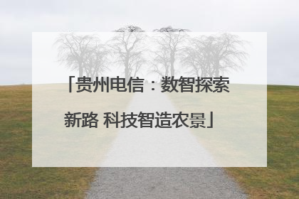 贵州电信：数智探索新路 科技智造农景