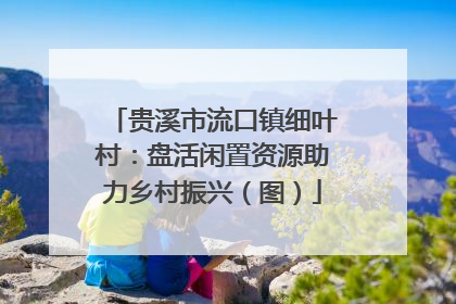 贵溪市流口镇细叶村：盘活闲置资源助力乡村振兴（图）