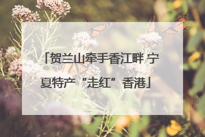 贺兰山牵手香江畔 宁夏特产“走红”香港