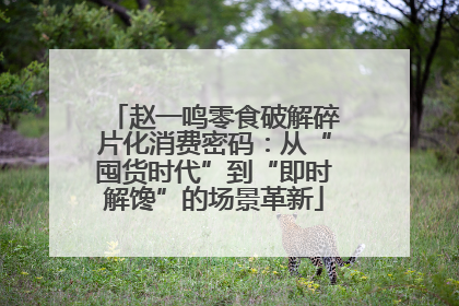 赵一鸣零食破解碎片化消费密码：从“囤货时代”到“即时解馋”的场景革新