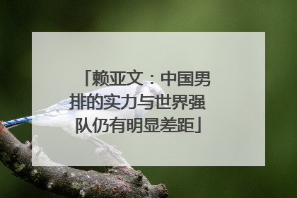 赖亚文：中国男排的实力与世界强队仍有明显差距