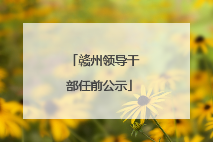 赣州领导干部任前公示