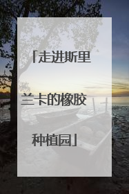 走进斯里兰卡的橡胶种植园