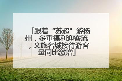 跟着“苏超”游扬州，多重福利迎客流，文旅名城接待游客量同比激增