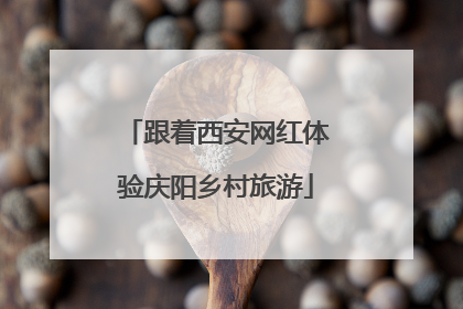 跟着西安网红体验庆阳乡村旅游