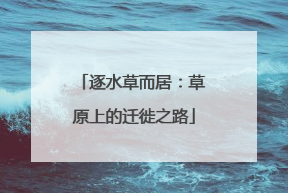 逐水草而居：草原上的迁徙之路