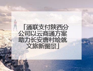 通联支付陕西分公司以云商通方案助力长安唐村绘就文旅新图景
