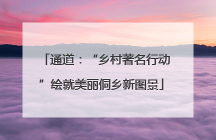 通道：“乡村著名行动”绘就美丽侗乡新图景
