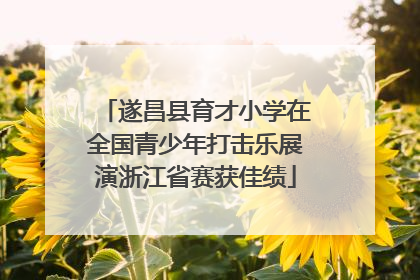 遂昌县育才小学在全国青少年打击乐展演浙江省赛获佳绩