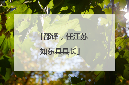 邵锋，任江苏如东县县长