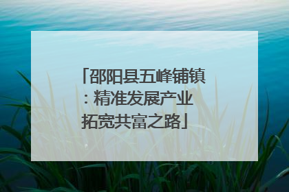 邵阳县五峰铺镇：精准发展产业 拓宽共富之路