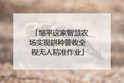 邹平这家智慧农场实现耕种管收全程无人精准作业