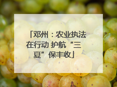 邓州：农业执法在行动 护航“三夏”保丰收