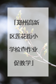 郑州高新区莲花街小学检查作业促教学