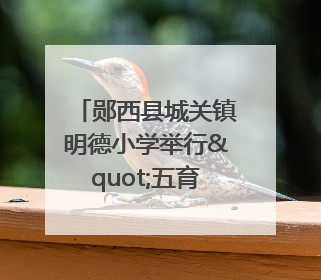 郧西县城关镇明德小学举行"五育并举助成长，人人参与逐梦行"庆六一活动