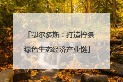 鄂尔多斯：打造柠条绿色生态经济产业链