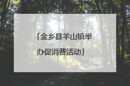 金乡县羊山镇举办促消费活动
