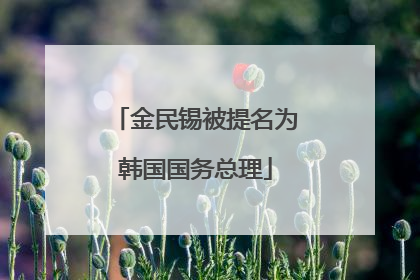 金民锡被提名为韩国国务总理