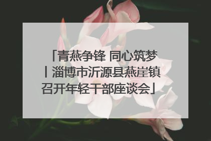 青燕争锋 同心筑梦丨淄博市沂源县燕崖镇召开年轻干部座谈会