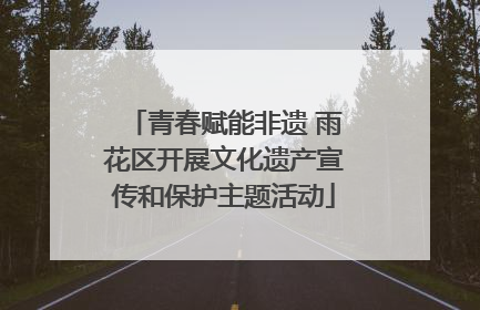 青春赋能非遗 雨花区开展文化遗产宣传和保护主题活动