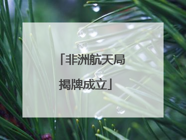 非洲航天局揭牌成立