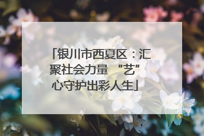 银川市西夏区：汇聚社会力量 “艺”心守护出彩人生