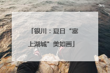 银川：夏日“塞上湖城”美如画