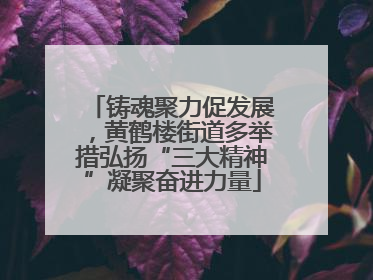 铸魂聚力促发展，黄鹤楼街道多举措弘扬“三大精神”凝聚奋进力量