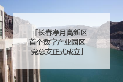 长春净月高新区首个数字产业园区党总支正式成立