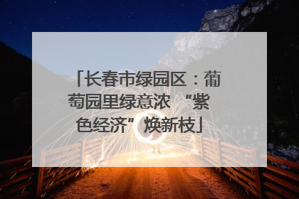 长春市绿园区：葡萄园里绿意浓 “紫色经济”焕新枝