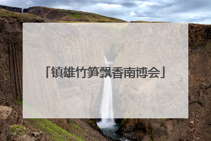 镇雄竹笋飘香南博会