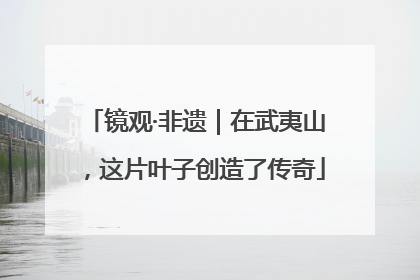 镜观·非遗｜在武夷山，这片叶子创造了传奇