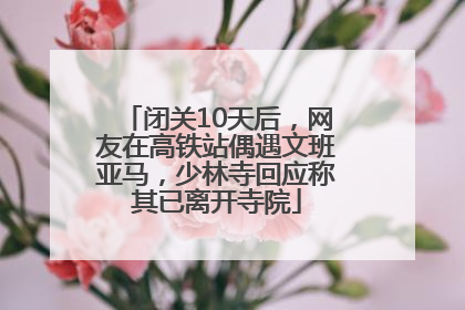 闭关10天后，网友在高铁站偶遇文班亚马，少林寺回应称其已离开寺院