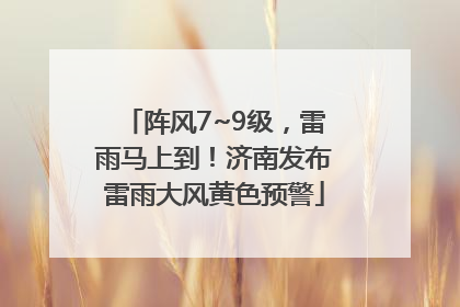 阵风7~9级，雷雨马上到！济南发布雷雨大风黄色预警