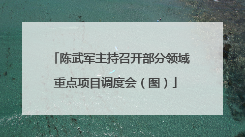 陈武军主持召开部分领域重点项目调度会（图）
