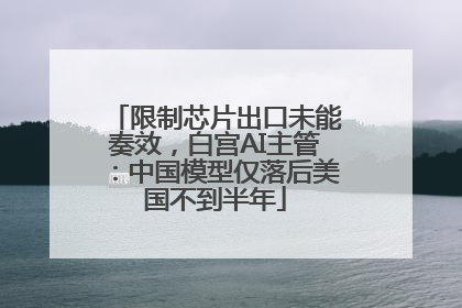 限制芯片出口未能奏效，白宫AI主管：中国模型仅落后美国不到半年