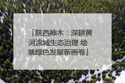 陕西神木：深耕黄河流域生态治理 绘就绿色发展新画卷