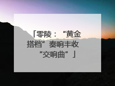 零陵：“黄金搭档”奏响丰收“交响曲”