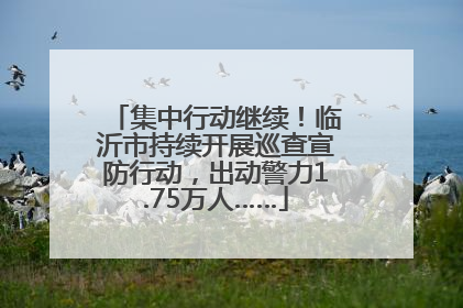 集中行动继续！临沂市持续开展巡查宣防行动，出动警力1.75万人……