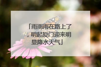 雨雨雨在路上了，明起厦门迎来明显降水天气