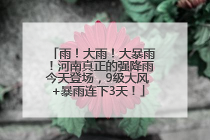 雨！大雨！大暴雨！河南真正的强降雨今天登场，9级大风+暴雨连下3天！