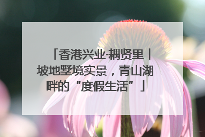 香港兴业·耦贤里丨坡地墅境实景，青山湖畔的“度假生活”