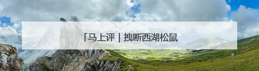 马上评｜拽断西湖松鼠尾巴，不只是不文明