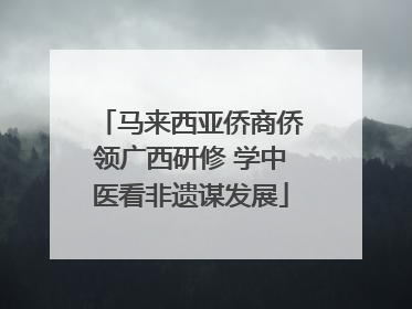 马来西亚侨商侨领广西研修 学中医看非遗谋发展