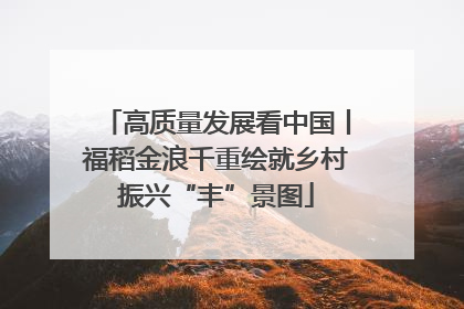 高质量发展看中国丨福稻金浪千重绘就乡村振兴“丰”景图