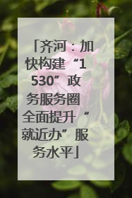 齐河：加快构建“1530”政务服务圈 全面提升“就近办”服务水平