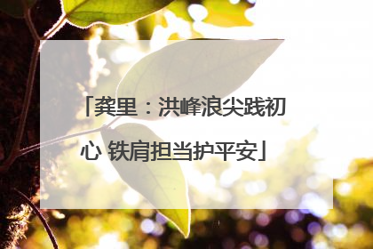 龚里：洪峰浪尖践初心 铁肩担当护平安
