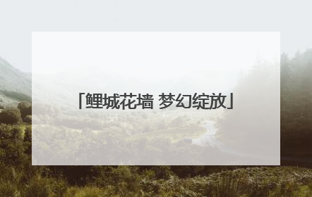鲤城花墙 梦幻绽放